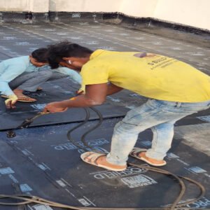 WhatsApp Image 2025-12-25 at 3.03.29 PM (2)